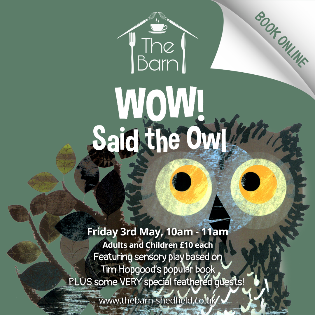 wow-said-the-owl